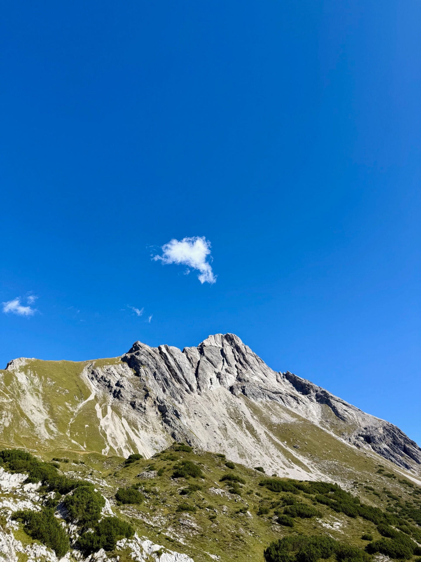 Geführte Wanderung Bergsteigen mit Bergführer Biberkopf Warth Lech am Arlberg