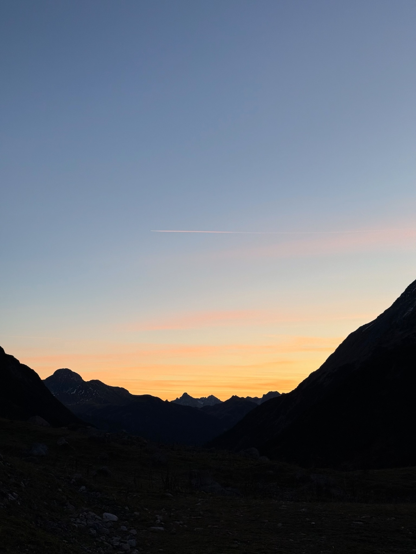 Geführte Beobachtung Wildtieren Steinböcken Gämse Lech am Arlberg