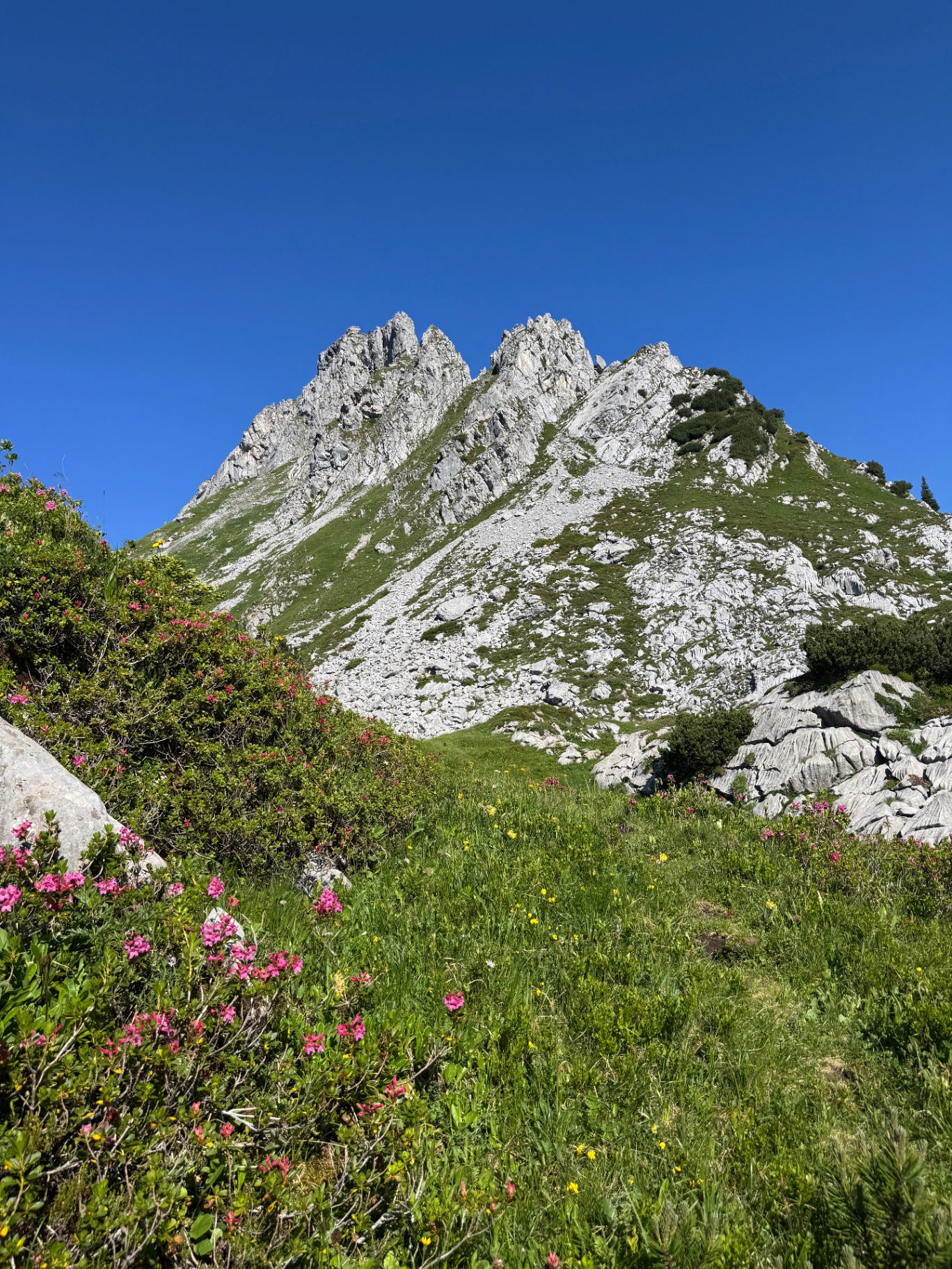 Klettern Bergsteigen Bergführer Plattnitzer Jochspitze Ostgrat Lech am Arlberg Spullersee Vorarlberg
