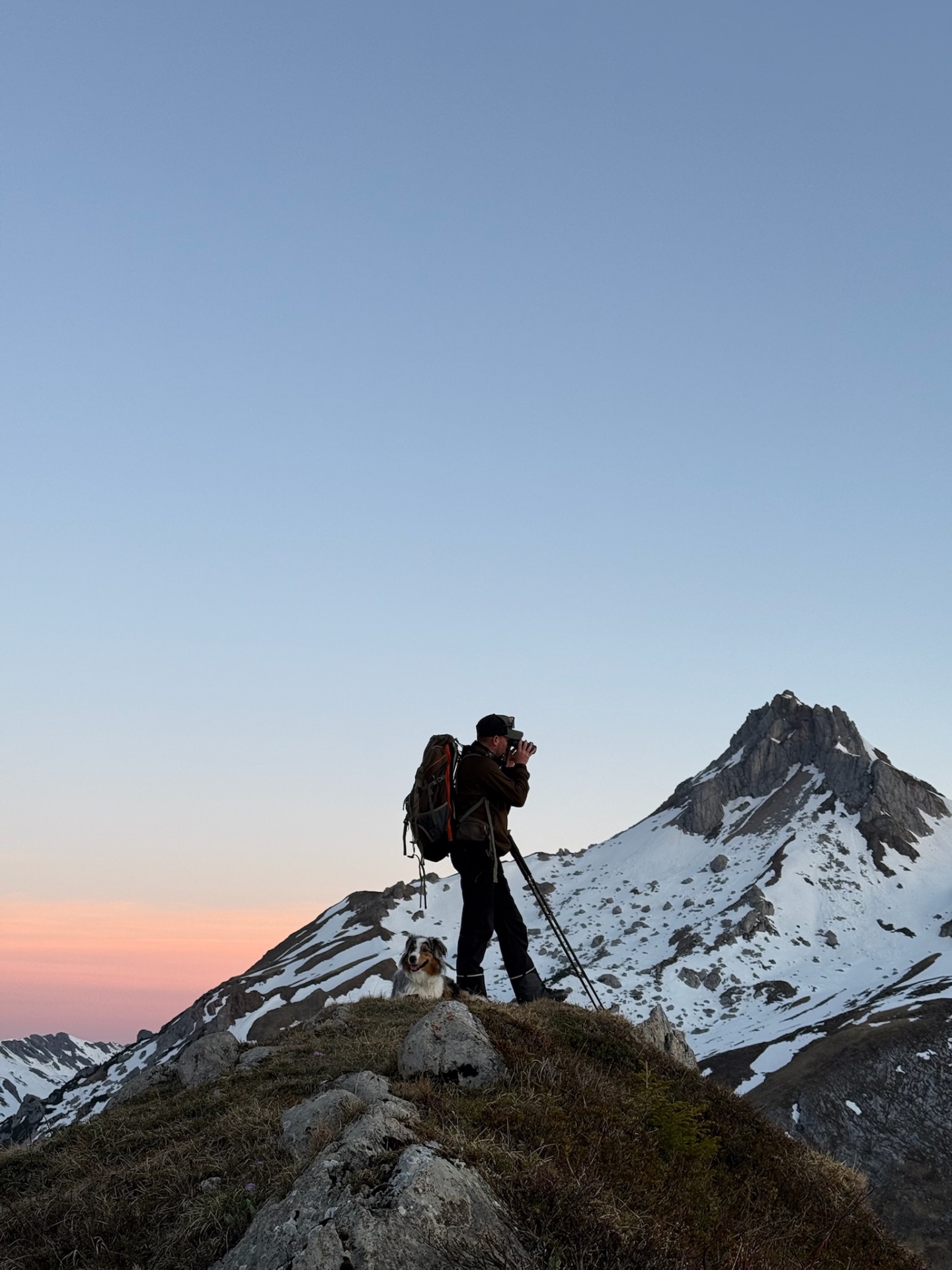 Geführte Beobachtung Wildtieren Steinböcken Gämse Lech am Arlberg