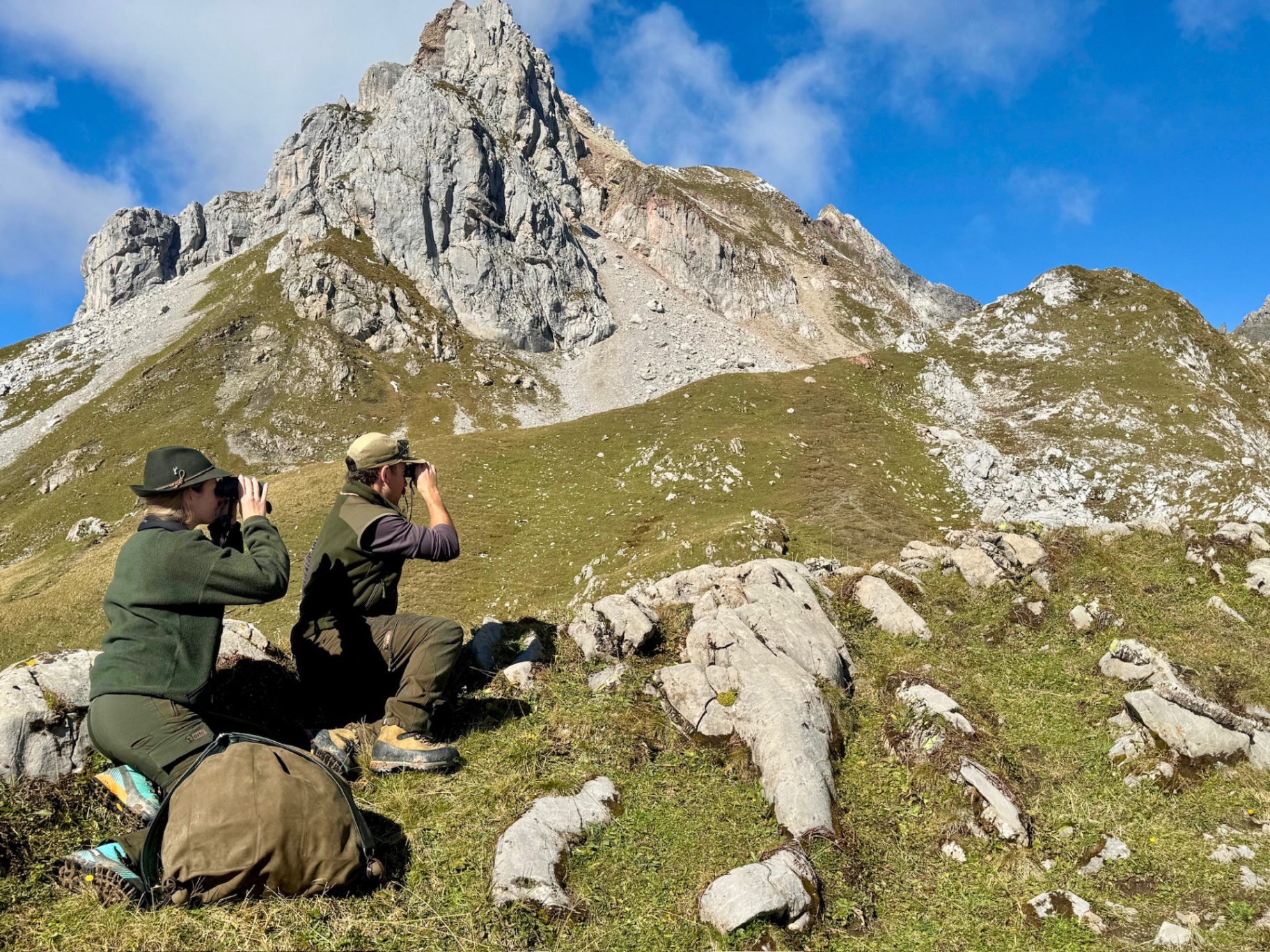 Geführte Beobachtung Wildtieren Steinböcken Gämse Lech am Arlberg